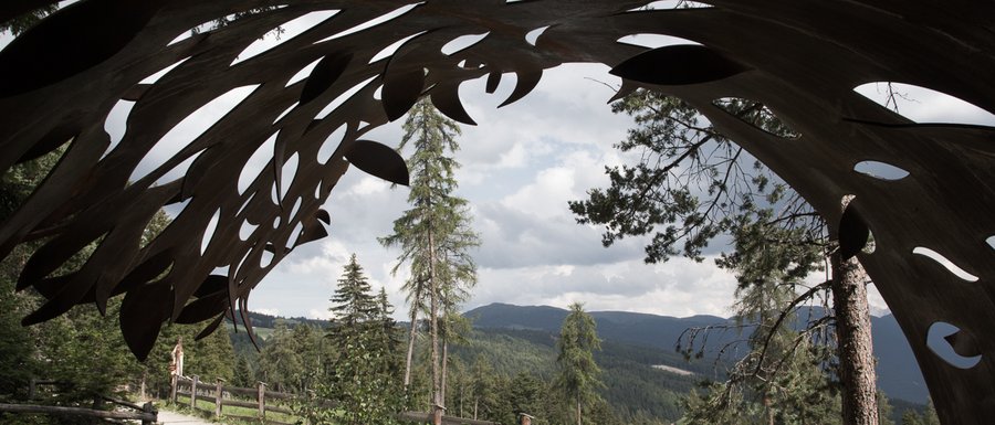Benvenuti nell’Area Vacanze Sci e Malghe Rio Pusteria! L'immagine mostra una vista attraverso una scultura metallica con forme organiche. Sullo sfondo si vedono alberi, un sentiero con una recinzione in legno e colline boschive sotto un cielo nuvoloso.