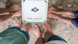 Il Sentiero degli Elfi a Vandoies di Sopra L'immagine mostra i piedi nudi di diversi bambini che stanno in cerchio attorno a un cartello. Sul cartello è raffigurata un'impronta di zampa e si legge il testo "Fuchs – volpe rossa (Vulpes vulpes)", che indica la traccia di una volpe.