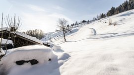 Terento in Val Pusteria Pendii innevati con alberi e baite al sole
