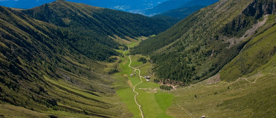Benvenuti nell’Area Vacanze Sci e Malghe Rio Pusteria! L'immagine mostra una valle ampia che si estende tra due pendii montuosi alti e boscosi. Un sentiero stretto e tortuoso attraversa la valle verde, passando accanto ad alcune baite sparse. Sullo sfondo si possono vedere le maestose vette delle Alpi che dominano l'orizzonte.