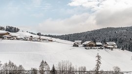 Terento in Val Pusteria Villaggio innevato su una collina con foresta sullo sfondo