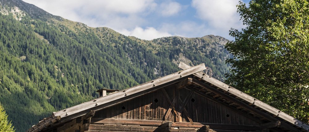 Benvenuti nell’Area Vacanze Sci e Malghe Rio Pusteria! L'immagine mostra una tradizionale baita di legno con fiori colorati che fioriscono in cassette di fiori sotto le finestre. Sullo sfondo si ergono montagne verdi e boscose sotto un cielo azzurro con alcune nuvole.