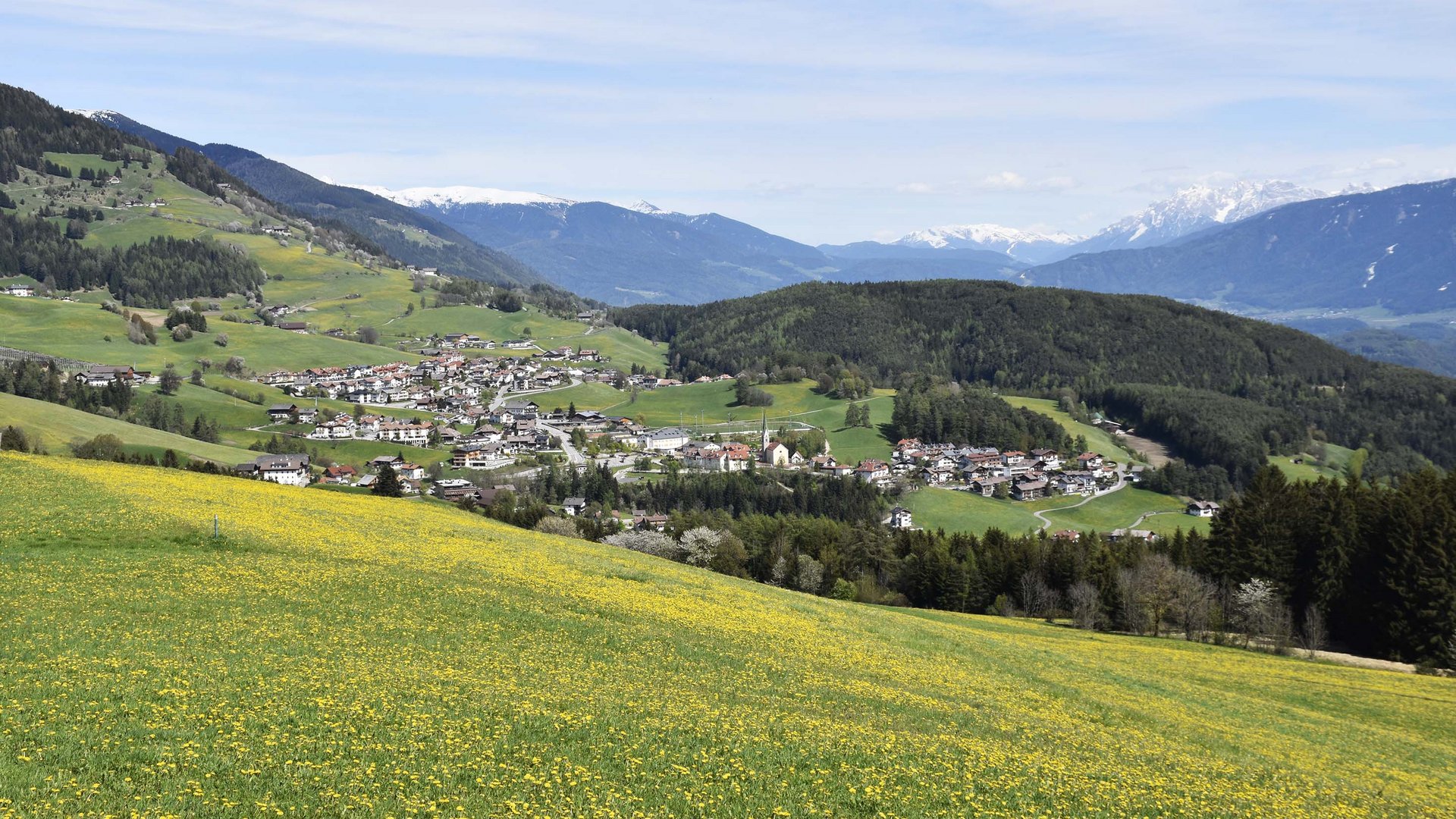 Terento in Val Pusteria Prato fiorito con villaggio di montagna e montagne innevate sullo sfondo