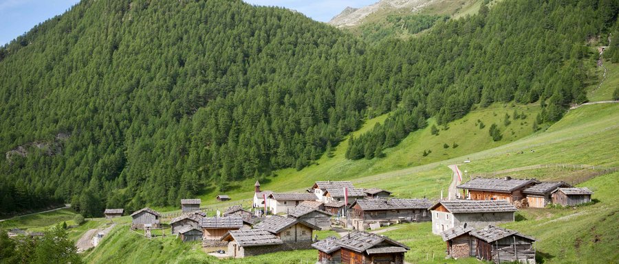 Benvenuti nell’Area Vacanze Sci e Malghe Rio Pusteria! L'immagine mostra un pittoresco insediamento di malghe in mezzo a pendii montani verdi. Le malghe hanno tetti tradizionali di legno e sullo sfondo si vedono ripidi pendii montani densamente boscati e una piccola torre campanaria.