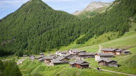Malga Fane, il più bel villaggio alpino dell’Alto Adige L'immagine mostra un pittoresco insediamento di malghe in mezzo a pendii montani verdi. Le malghe hanno tetti tradizionali di legno e sullo sfondo si vedono ripidi pendii montani densamente boscati e una piccola torre campanaria.
