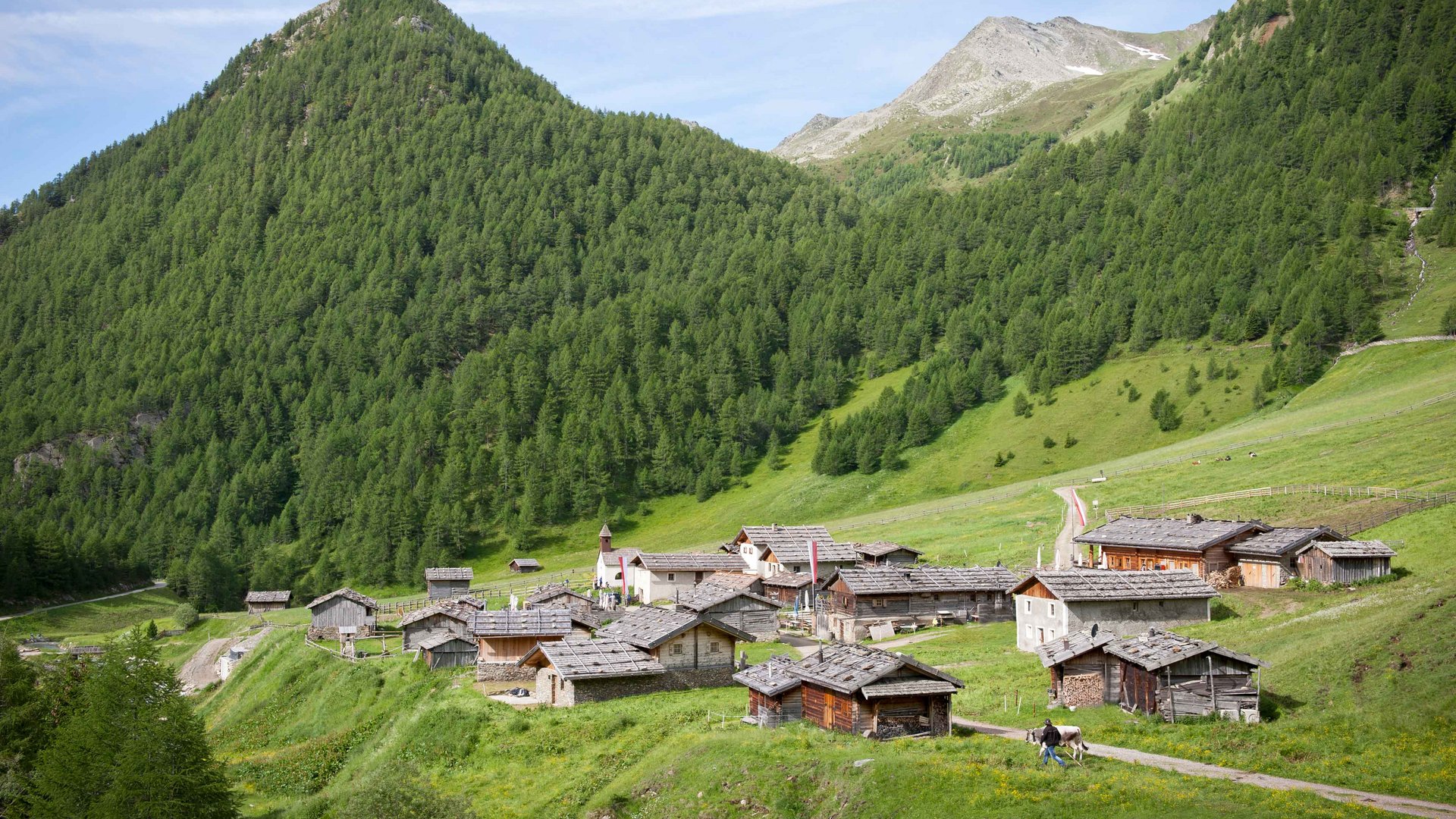 Malga Fane, il più bel villaggio alpino dell’Alto Adige L'immagine mostra un pittoresco insediamento di malghe in mezzo a pendii montani verdi. Le malghe hanno tetti tradizionali di legno e sullo sfondo si vedono ripidi pendii montani densamente boscati e una piccola torre campanaria.
