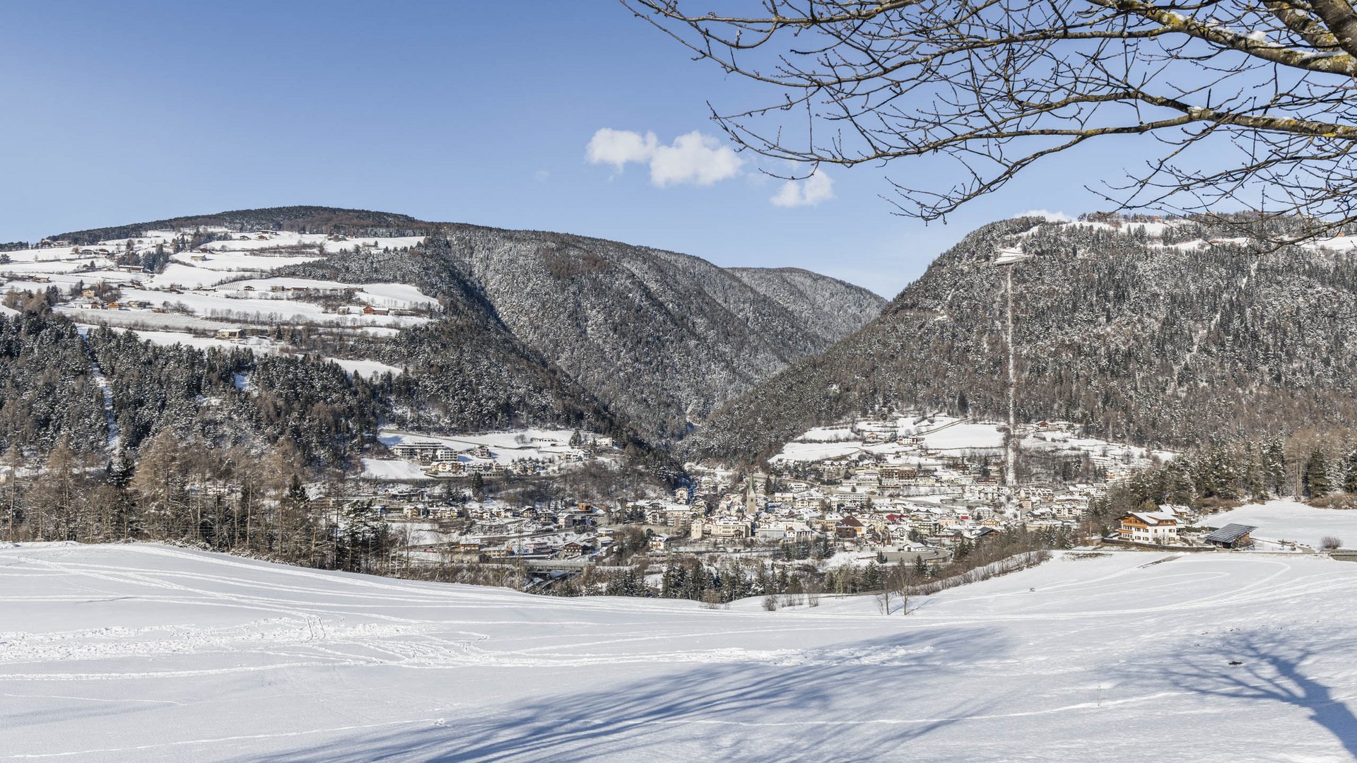 Alla scoperta di Rio di Pusteria L'immagine mostra un paesaggio invernale con una valle innevata in cui si trova una piccola città. Circondata da colline e montagne coperte di neve, in primo piano si estendono campi bianchi, mentre i rami spogli di un albero incorniciano il bordo superiore dell'immagine.