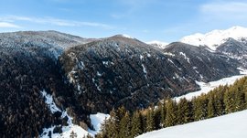 Conoscete già Maranza? L'immagine mostra un paesaggio montano invernale con foreste dense, parzialmente coperte di neve. Sullo sfondo si vedono cime più alte coperte di neve, mentre in primo piano abeti decorano i pendii innevati. Il cielo è limpido e blu.