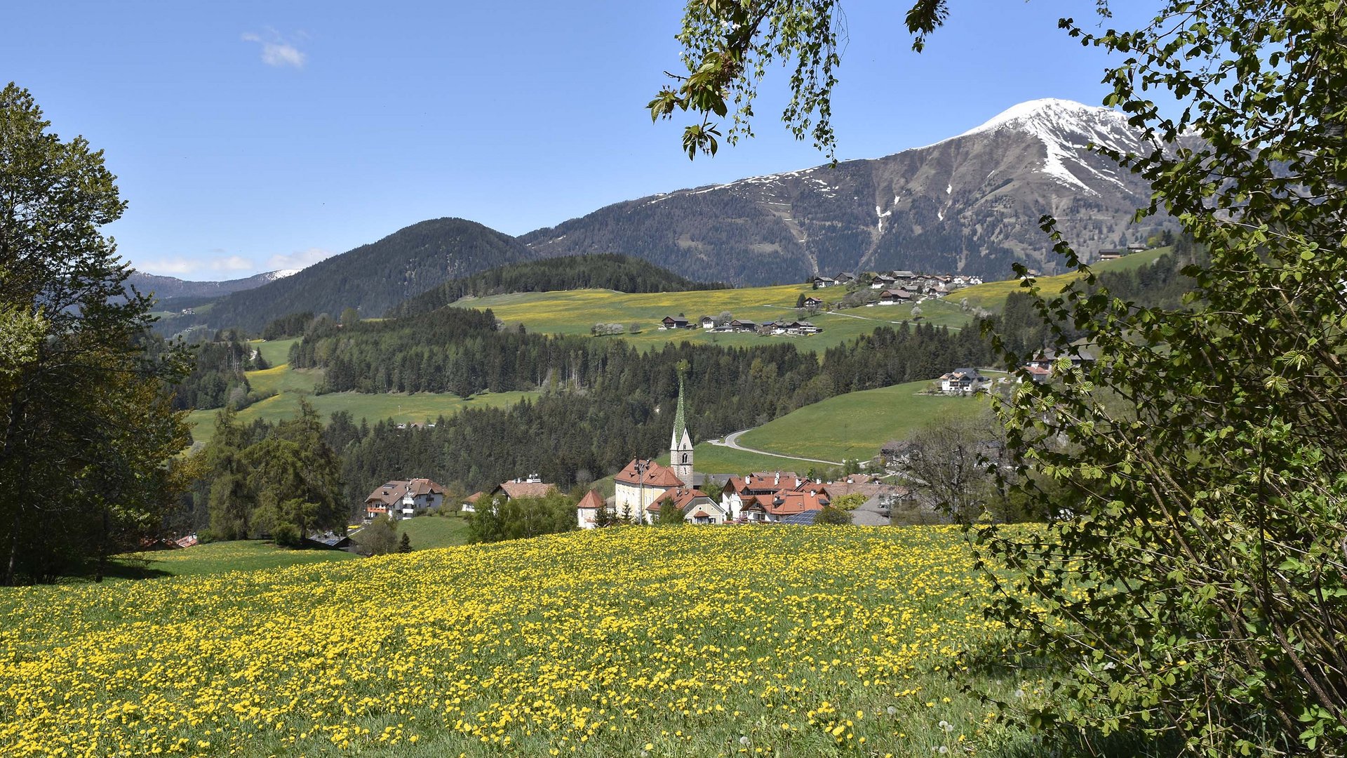 Terento in Val Pusteria Prato fiorito con villaggio e montagne sullo sfondo sotto cielo blu