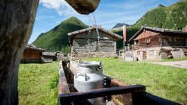 Malga Fane, il più bel villaggio alpino dell’Alto Adige L'immagine mostra un tradizionale pozzo in legno da cui l'acqua scorre in una tinozza. In primo piano c'è una lattiera d'argento nell'acqua, mentre sullo sfondo si vedono diverse capanne rustiche di legno davanti a un paesaggio montano verde.