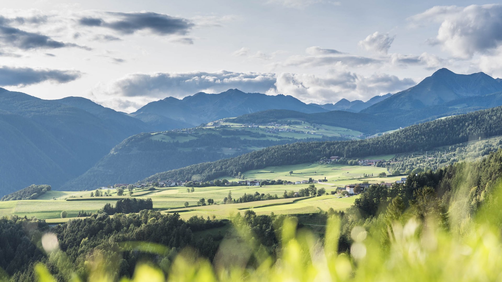 Il paradiso escursionistico di Rodengo L'immagine mostra un vasto paesaggio verde con campi e colline in primo piano, incorniciato da montagne più alte e boschive. Sullo sfondo si ergono maestose vette montane sotto un cielo nuvoloso.