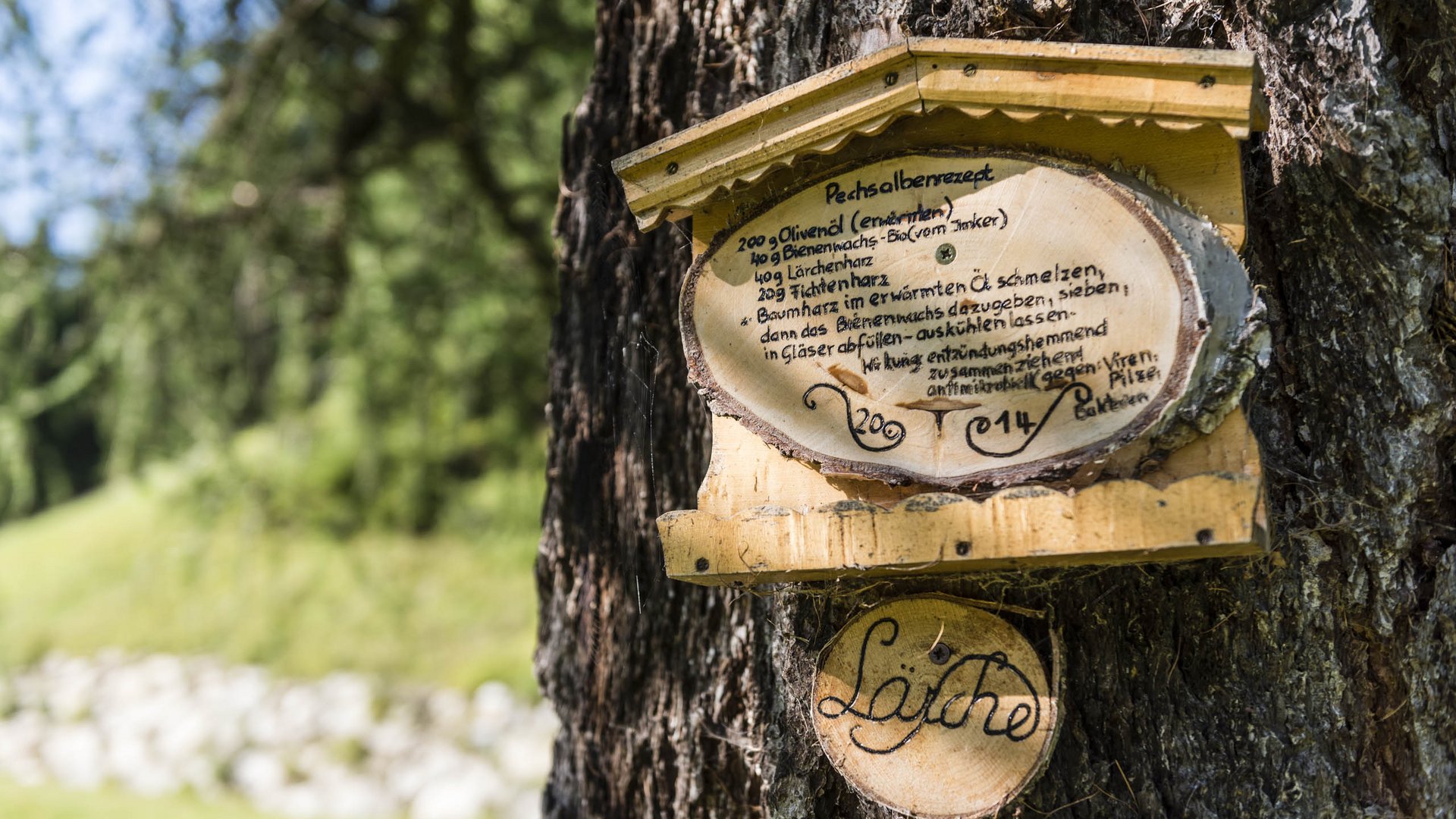 Valles & il villaggio alpino più bello dell’Alto Adige L'immagine mostra una ricetta scritta a mano su una fetta di legno, fissata a un albero. Si tratta di una ricetta tradizionale per un unguento di pece, incisa con una bella calligrafia sulla fetta di legno, mentre l'albero sullo sfondo mostra una foresta verde.