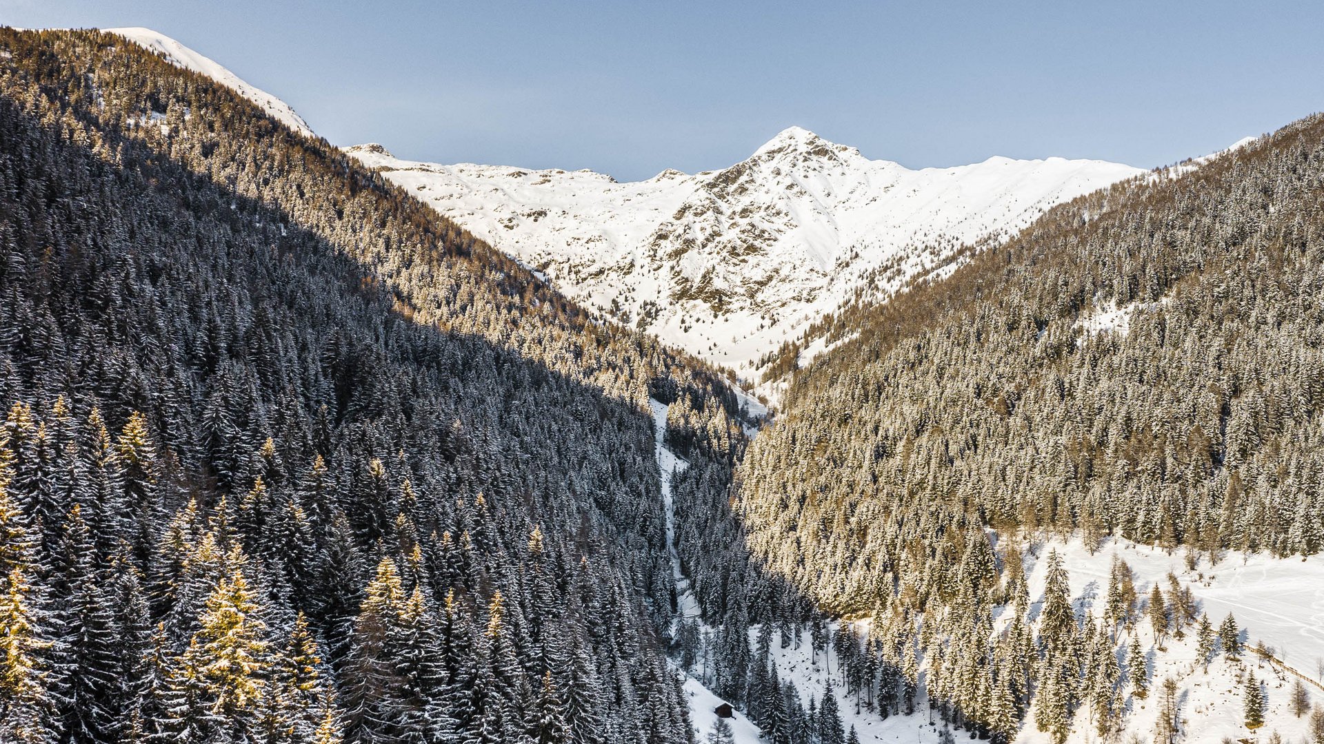 Terento in Val Pusteria Montagne innevate e abeti alla luce del sole
