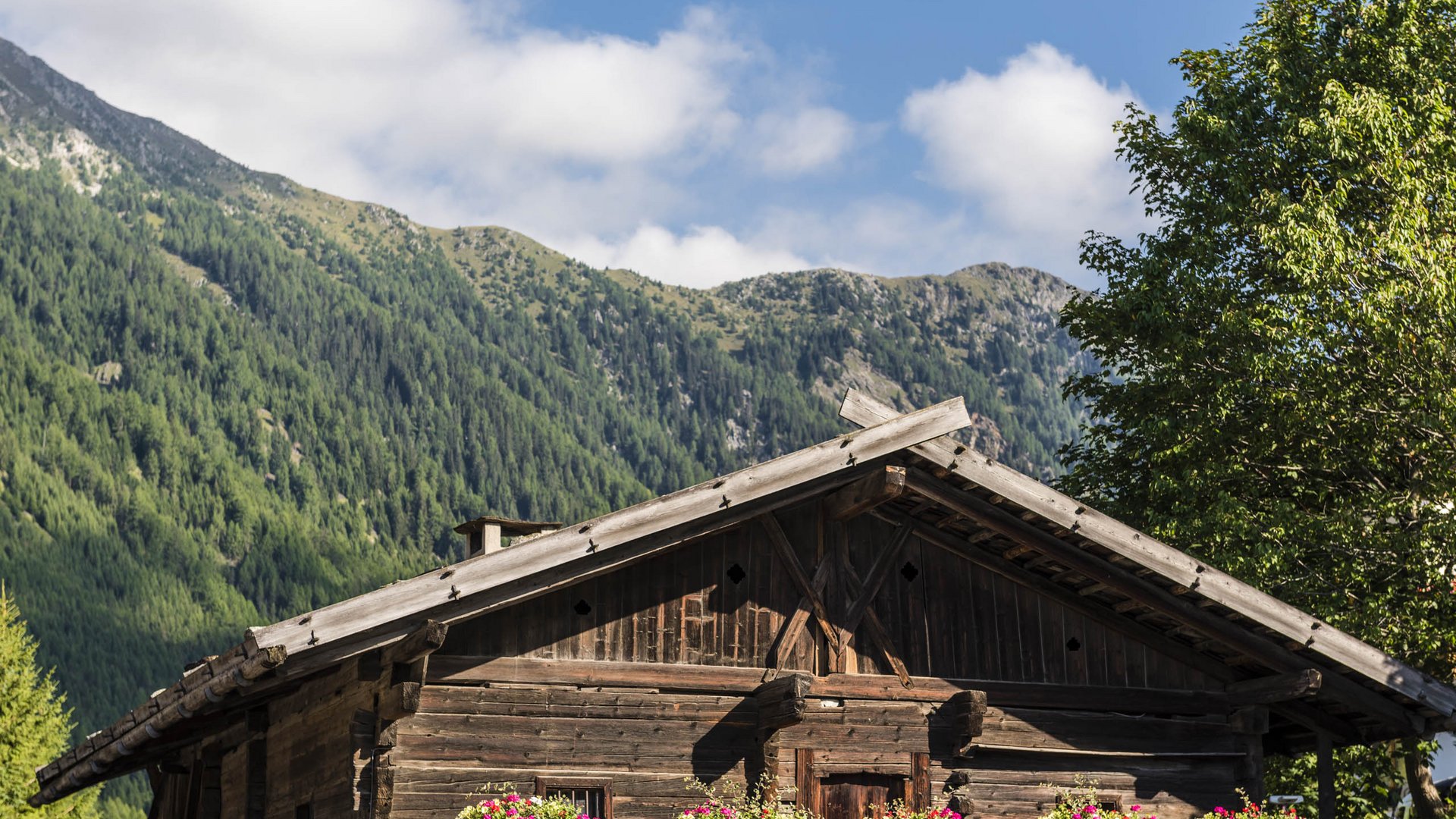Valles & il villaggio alpino più bello dell’Alto Adige L'immagine mostra una baita rustica in legno con cassette per fiori riempite di fiori colorati. Sullo sfondo si ergono montagne boscose sotto un cielo azzurro leggermente nuvoloso.