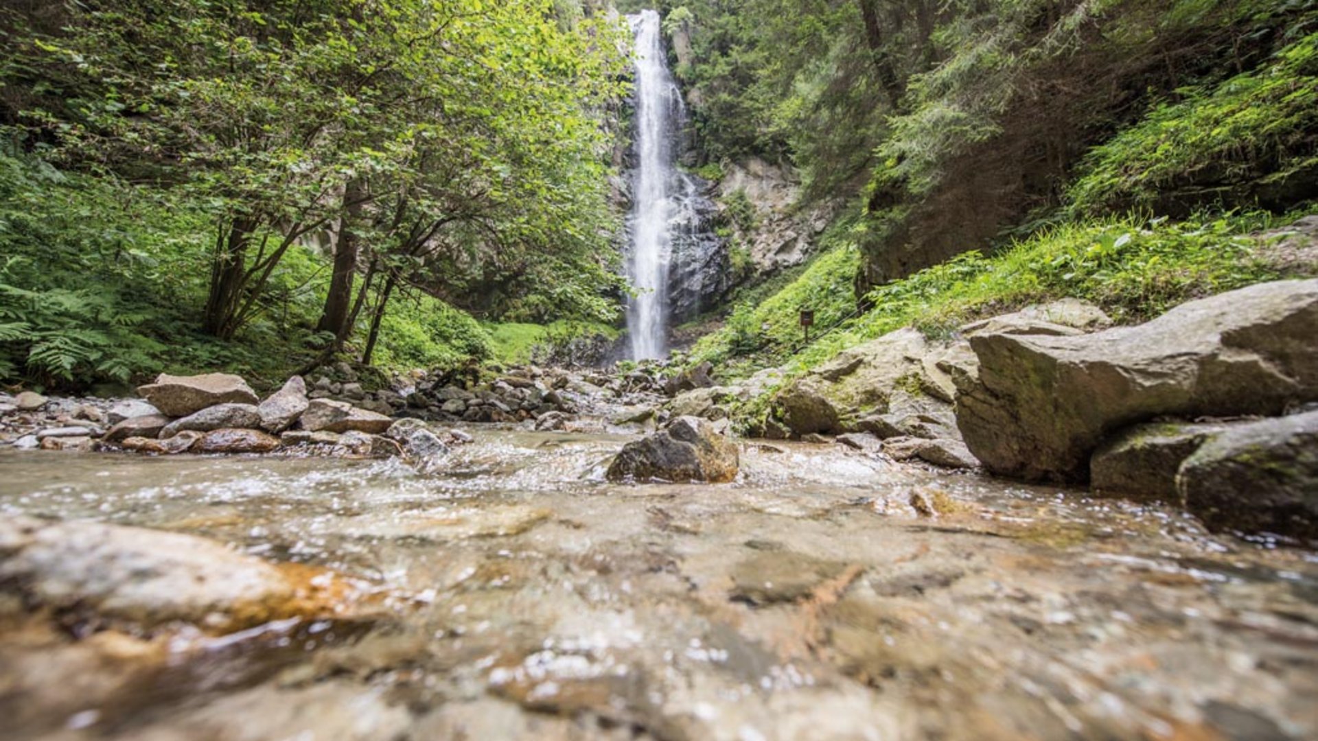 Il Sentiero degli Elfi a Vandoies di Sopra L'immagine mostra una pittoresca cascata nel mezzo di una fitta foresta. In primo piano un ruscello limpido scorre sulle pietre, mentre la cascata sullo sfondo precipita in profondità, circondata da una vegetazione rigogliosa.