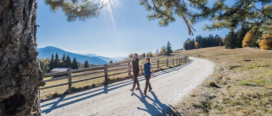 Benvenuti nell’Area Vacanze Sci e Malghe Rio Pusteria! L'immagine mostra due persone che passeggiano su un sentiero escursionistico ampio e soleggiato. Sopra di loro, il sole splende attraverso i rami di un albero, e sullo sfondo si vedono colline e montagne boschive.