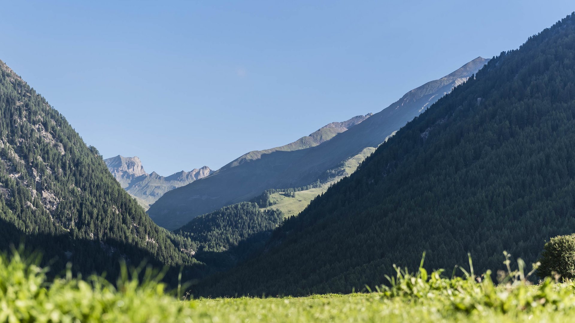 Valles & il villaggio alpino più bello dell’Alto Adige L'immagine mostra un paesaggio montano verde con due pendii boscosi che si incontrano in una valle. Sullo sfondo si vedono montagne più alte e rocciose, sotto un cielo blu limpido.