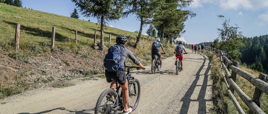 Benvenuti nell’Area Vacanze Sci e Malghe Rio Pusteria! L'immagine mostra un gruppo di ciclisti che pedalano in salita su un sentiero ampio e non asfaltato. Il sentiero è fiancheggiato da alberi e a sinistra si estende un prato verde, mentre a destra lungo il percorso corre una recinzione di legno. Il paesaggio suggerisce un ambiente montano.
