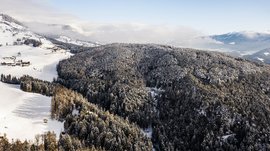 Terento in Val Pusteria Foresta montana innevata in una giornata d'inverno con montagne sullo sfondo