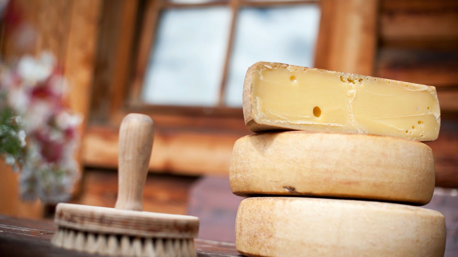 Malga Fane, il più bel villaggio alpino dell’Alto Adige L'immagine mostra diverse forme di formaggio, di cui una tagliata, permettendo di vedere l'interno giallo con alcuni buchi. Accanto c'è una spazzola rotonda su un tavolo di legno, sullo sfondo si intravede sfocato una finestra.