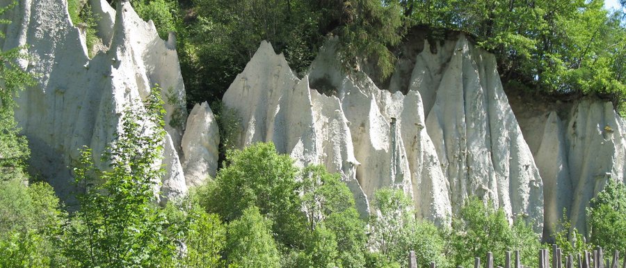 Benvenuti nell’Area Vacanze Sci e Malghe Rio Pusteria! Formazioni rocciose con recinzione di pali di legno e alberi verdi al sole