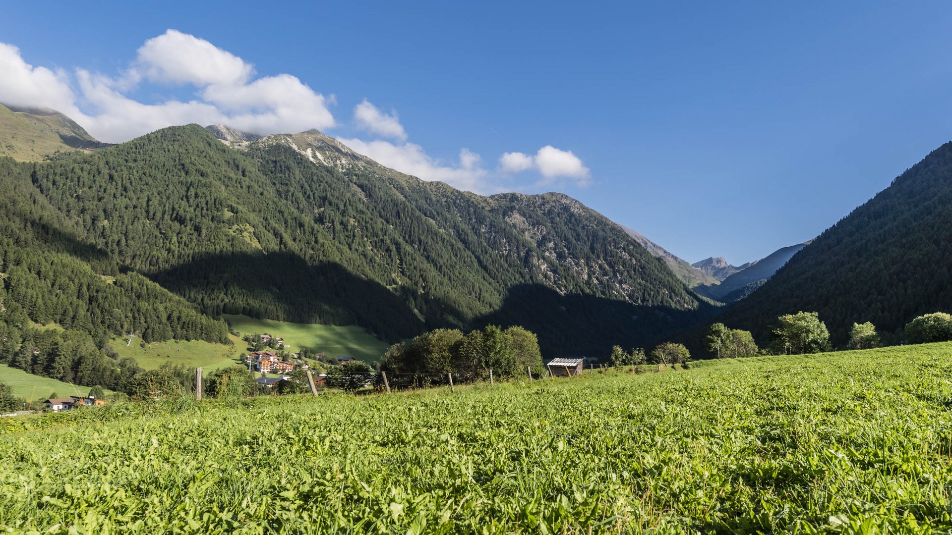 Valles & il villaggio alpino più bello dell’Alto Adige L'immagine mostra un'ampia prateria verde in primo piano, circondata da alte montagne densamente boschive sullo sfondo. Sopra le montagne c'è un cielo blu chiaro con alcune nuvole bianche.