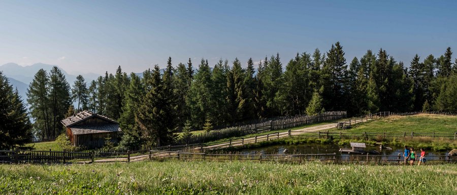 Benvenuti nell’Area Vacanze Sci e Malghe Rio Pusteria! Prato verde con casetta in legno, stagno e escursionisti sotto cielo sereno