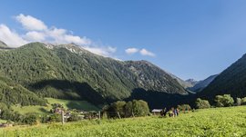 Valles & il villaggio alpino più bello dell’Alto Adige L'immagine mostra un prato verde che si estende in una valle, circondata da montagne densamente boschive sotto un cielo azzurro e limpido. Sul prato si vedono diversi escursionisti che camminano verso la valle.