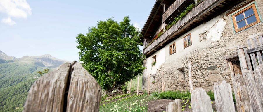 Benvenuti nell’Area Vacanze Sci e Malghe Rio Pusteria! L'immagine mostra un edificio rustico e antico con una facciata in pietra e balconi in legno. In primo piano si vede una recinzione di legno che circonda un piccolo giardino con verdure o piante verdi. Sullo sfondo sono visibili colline verdi e un grande albero.